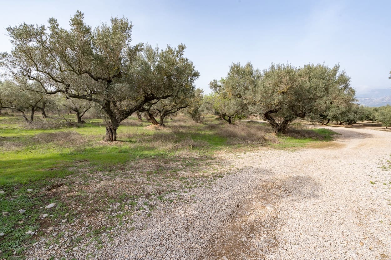 Finca/Herregård til salgs i Mas de Barberans - € 45 000 (Ref: 8456570)