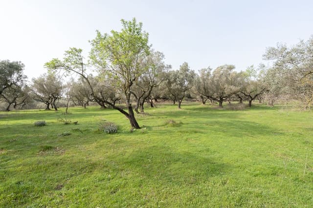 Finca/Herregård til salgs i Mas de Barberans - € 45 000 (Ref: 8456570)