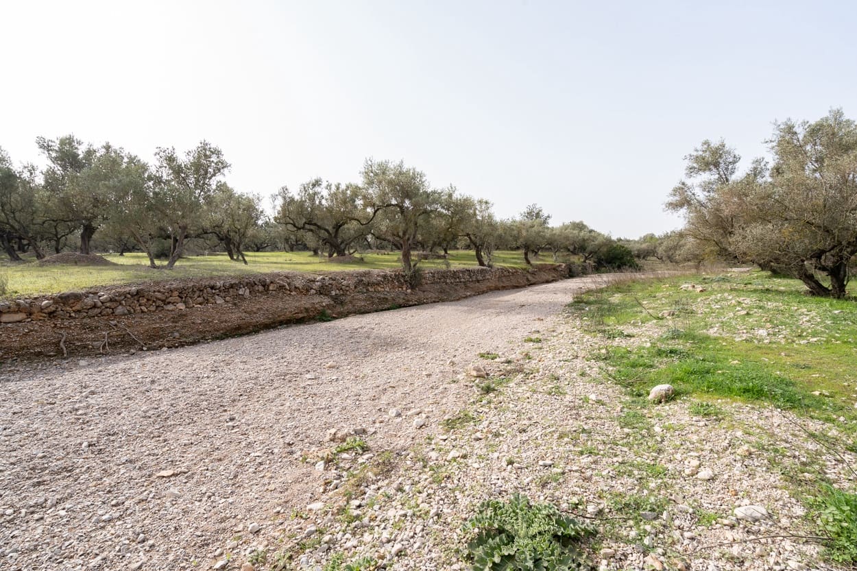 Finca/Herregård til salgs i Mas de Barberans - € 45 000 (Ref: 8456570)