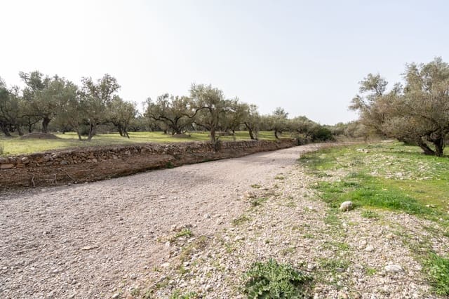 Finca/Herregård til salgs i Mas de Barberans - € 45 000 (Ref: 8456570)