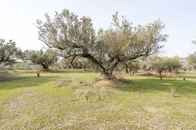 Finca/Country House for sale in Mas de Barberans - € 45,000 (Ref: 8456570)