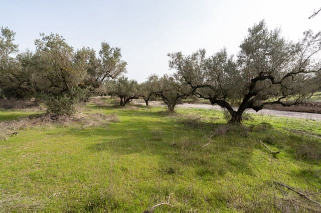 Finca/Country House for sale in Mas de Barberans - € 45,000 (Ref: 8456570)