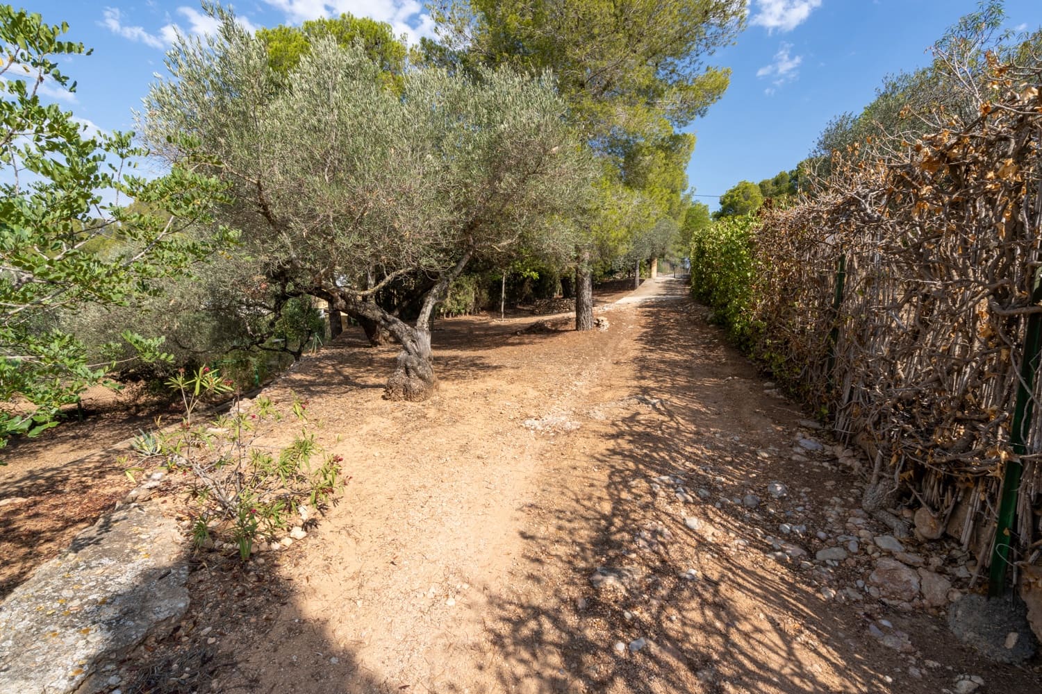 Finka/Dom wiejski na sprzedaż w Tortosa z basenem - 120 000 € (Ref: 8464011)