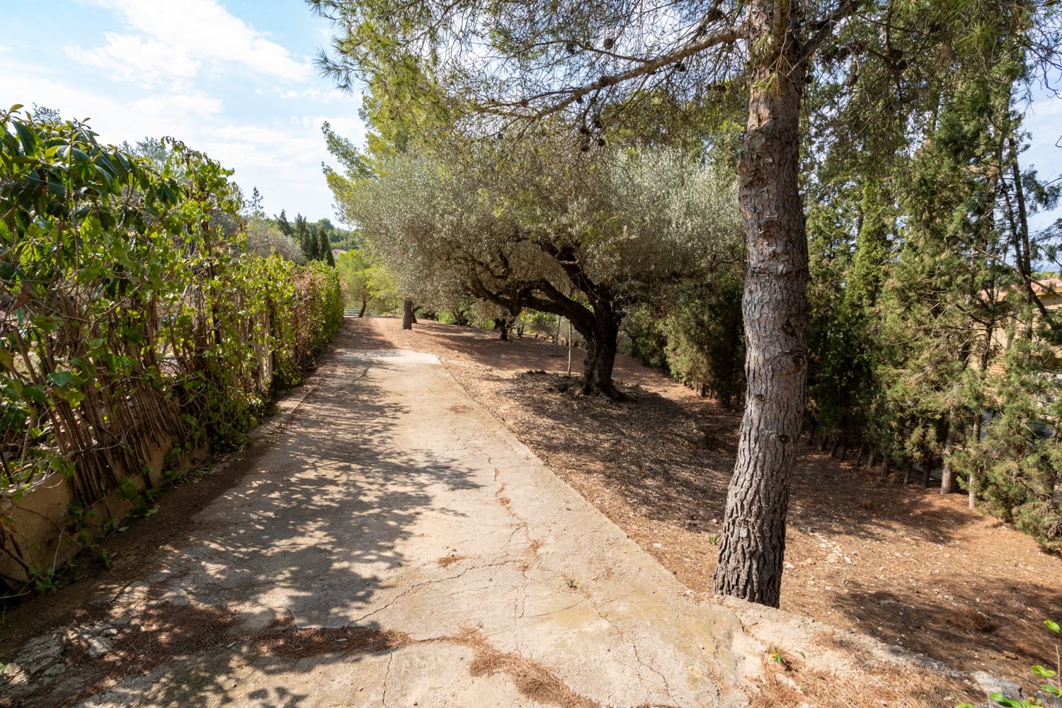 Finka/Dom wiejski na sprzedaż w Tortosa z basenem - 120 000 € (Ref: 8464011)