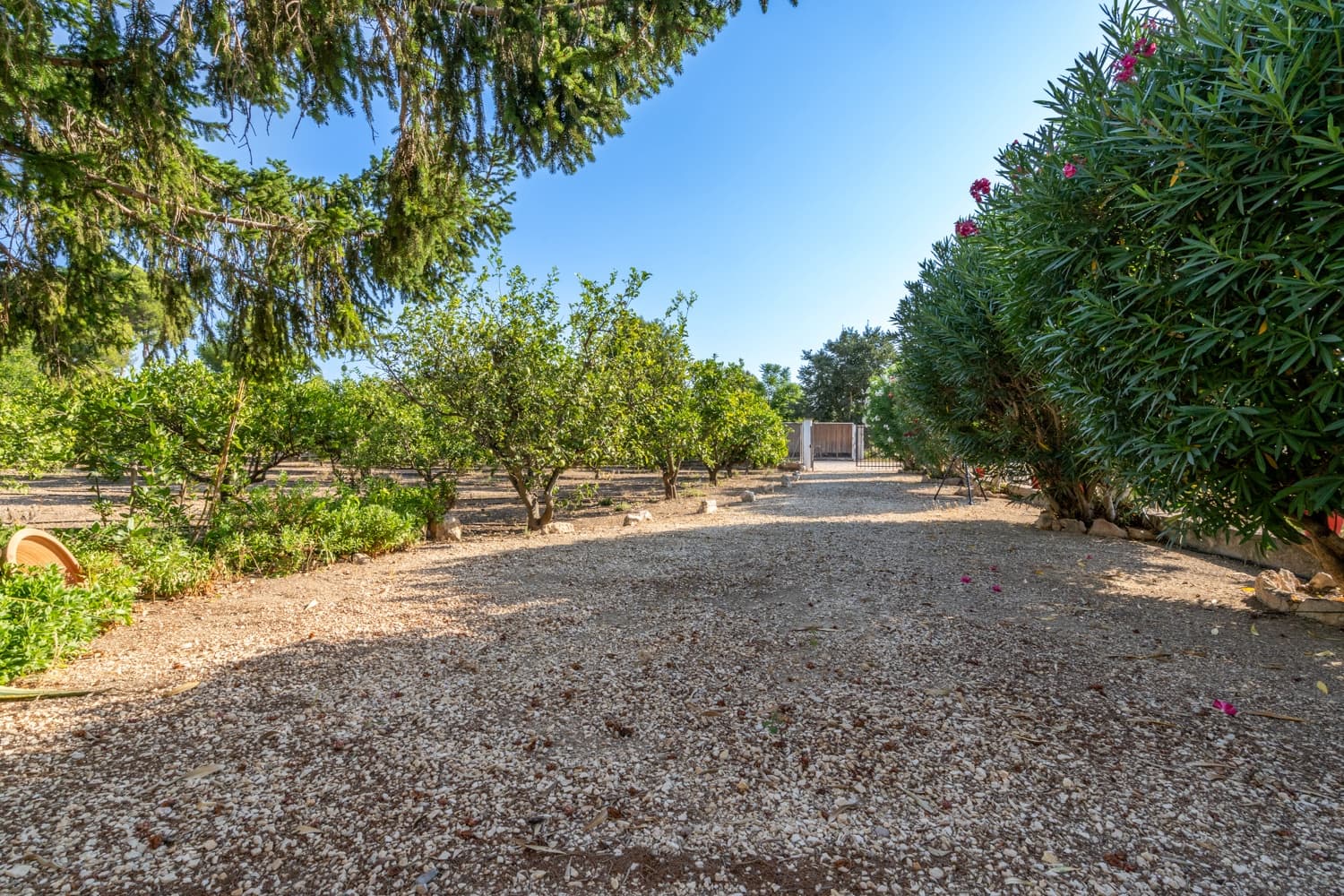 1 soveværelse Finca/Landehus til salg i Roquetes - € 95.000 (Ref: 8465791)