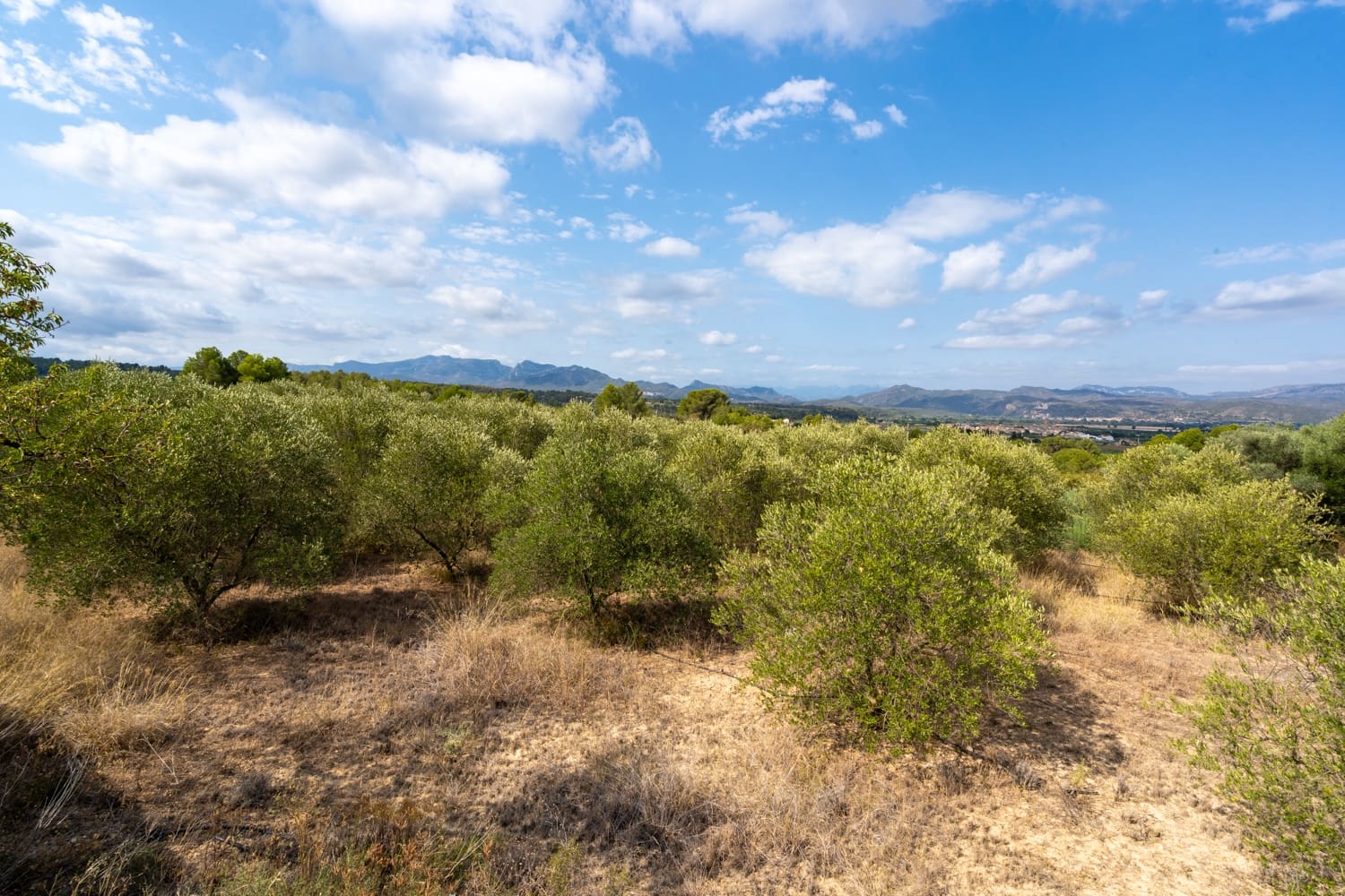 Finca/Country House for sale in Ginestar - € 16,000 (Ref: 8471421)