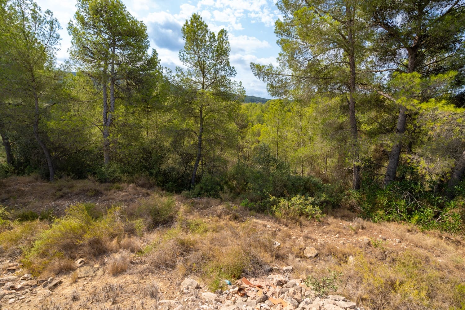 Finca/Country House for sale in Ginestar - € 16,000 (Ref: 8471421)