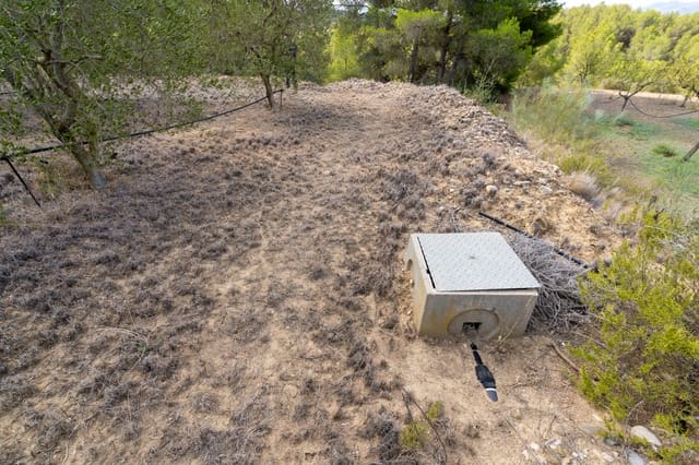 Finca/Landehus til salg i Ginestar - € 16.000 (Ref: 8471421)