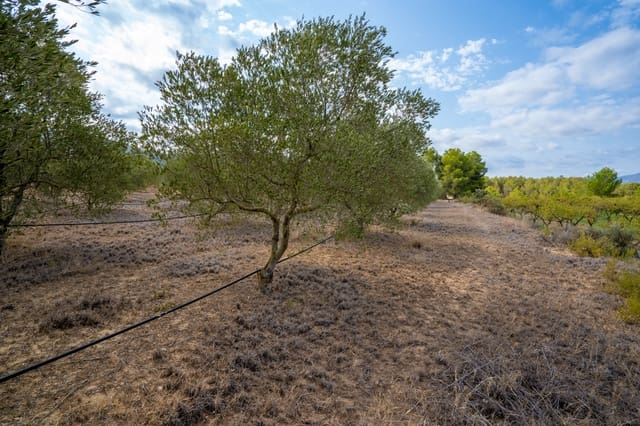 Finca/Landehus til salg i Ginestar - € 16.000 (Ref: 8471421)