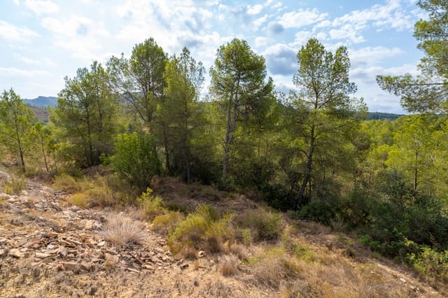 Finca/Landehus til salg i Ginestar - € 16.000 (Ref: 8471421)