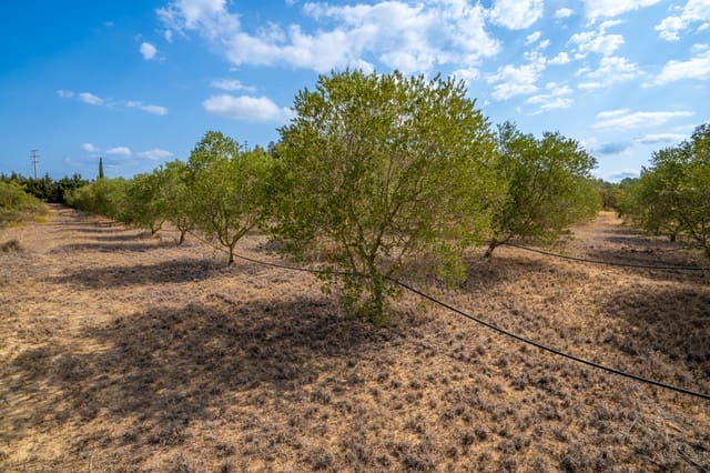 Finca/Landehus til salg i Ginestar - € 16.000 (Ref: 8471421)