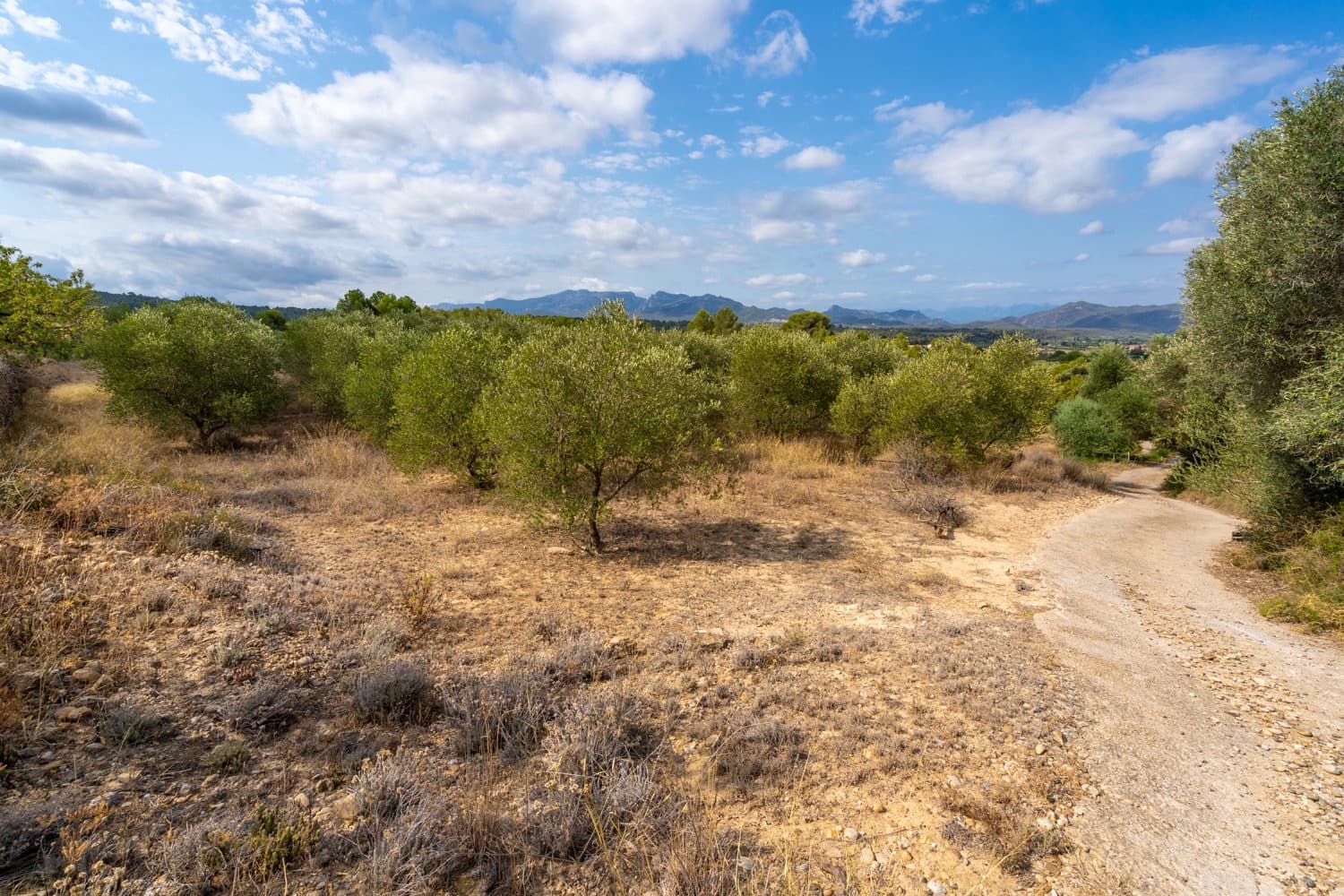 Finca/Hus på landet till salu i Ginestar - 16 000 € (Ref: 8471421)