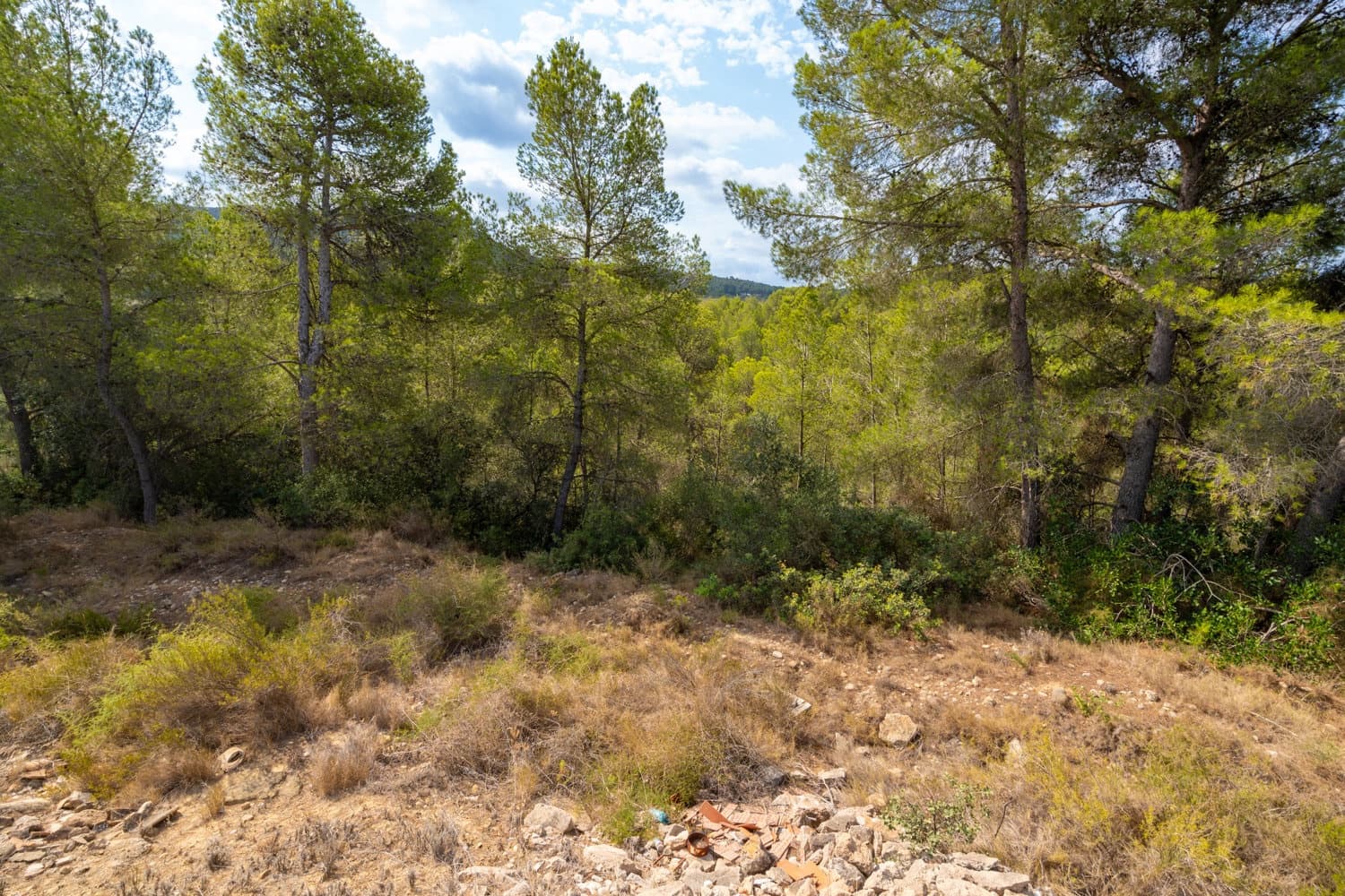 Finca/Hus på landet till salu i Ginestar - 16 000 € (Ref: 8471421)