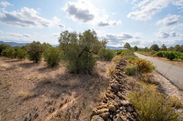 Finca/Casa Rural en Ginestar en venta - 9.000 € (Ref: 8471422)