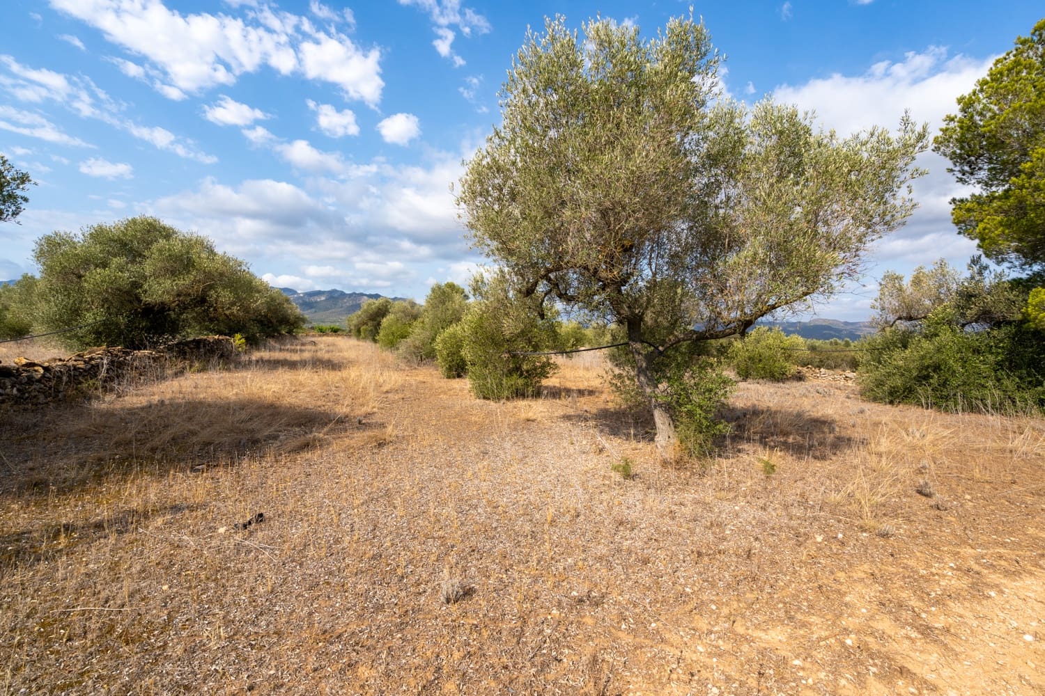 Finca/Landehus til salg i Ginestar - € 9.000 (Ref: 8471422)