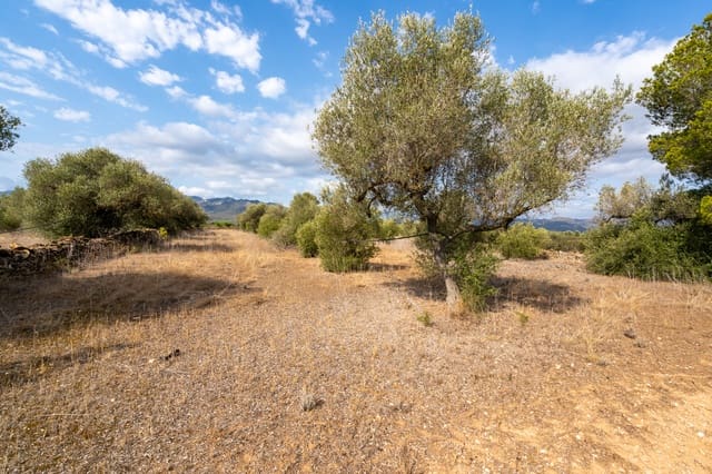 Finca/Casa Rural en Ginestar en venta - 9.000 € (Ref: 8471422)