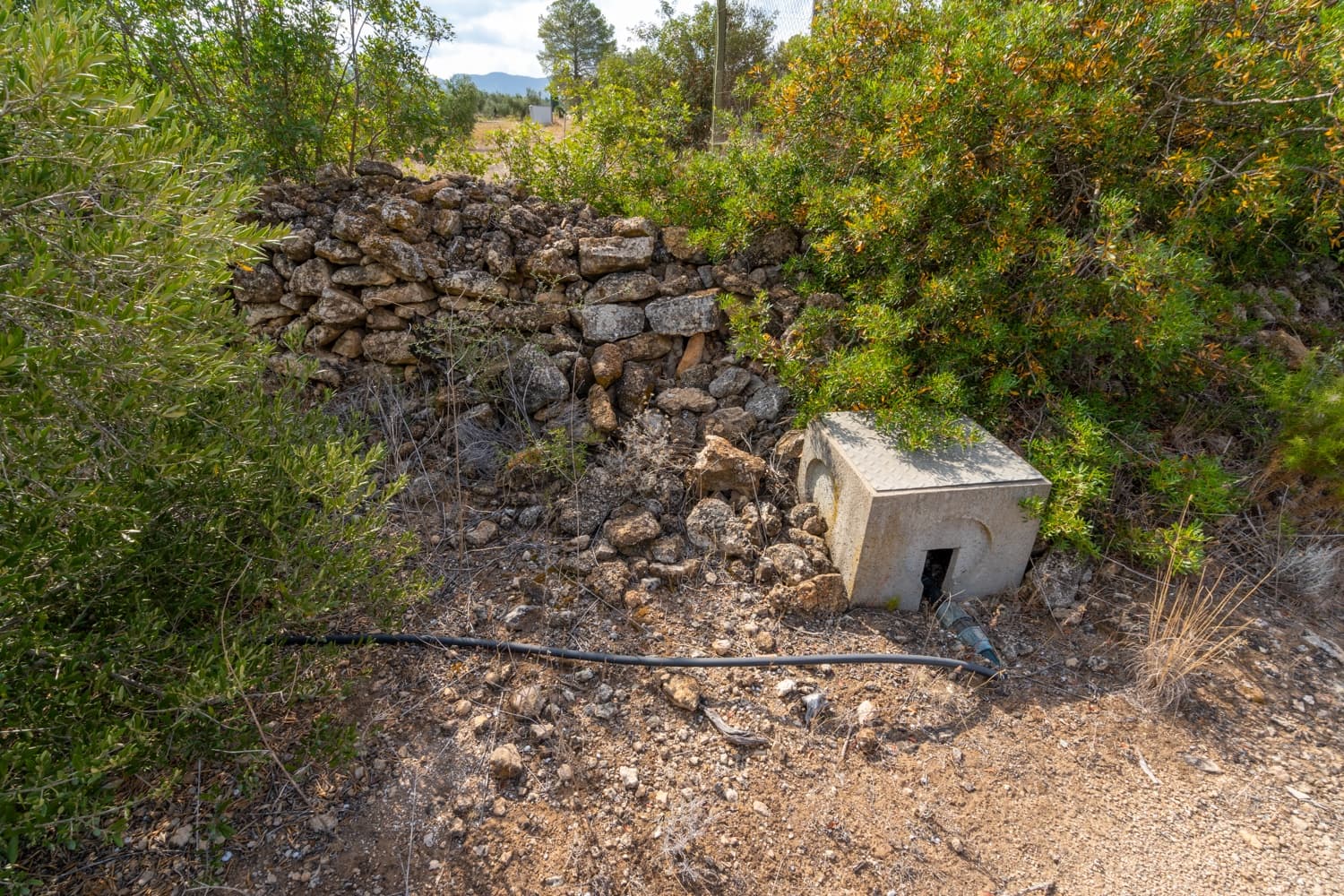 Finca/Landehus til salg i Ginestar - € 9.000 (Ref: 8471422)