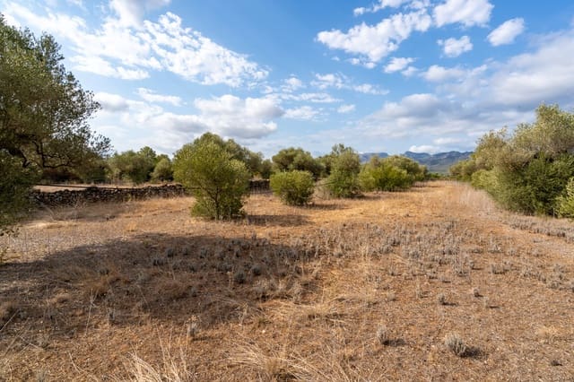 Quinta/Casa Rural para venda em Ginestar - 9 000 € (Ref: 8471422)