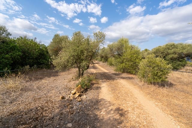 Quinta/Casa Rural para venda em Ginestar - 9 000 € (Ref: 8471422)