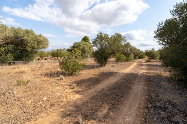 Quinta/Casa Rural para venda em Ginestar - 9 000 € (Ref: 8471422)