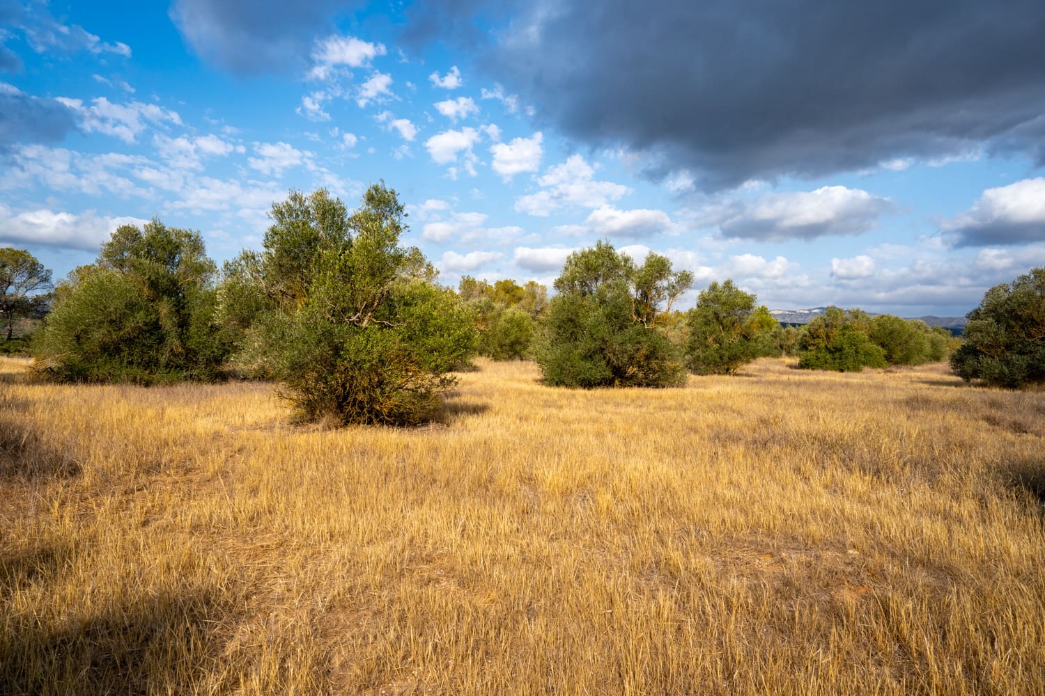 Quinta/Casa Rural para venda em Ginestar - 35 000 € (Ref: 8471423)