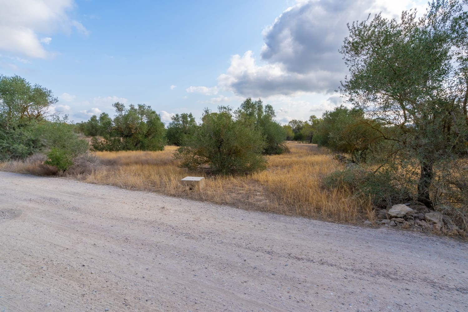 Quinta/Casa Rural para venda em Ginestar - 35 000 € (Ref: 8471423)