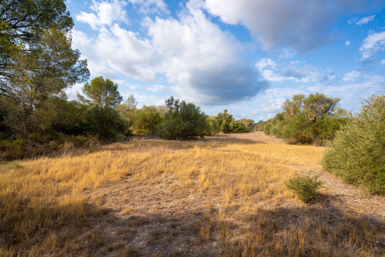 Quinta/Casa Rural para venda em Ginestar - 35 000 € (Ref: 8471423)