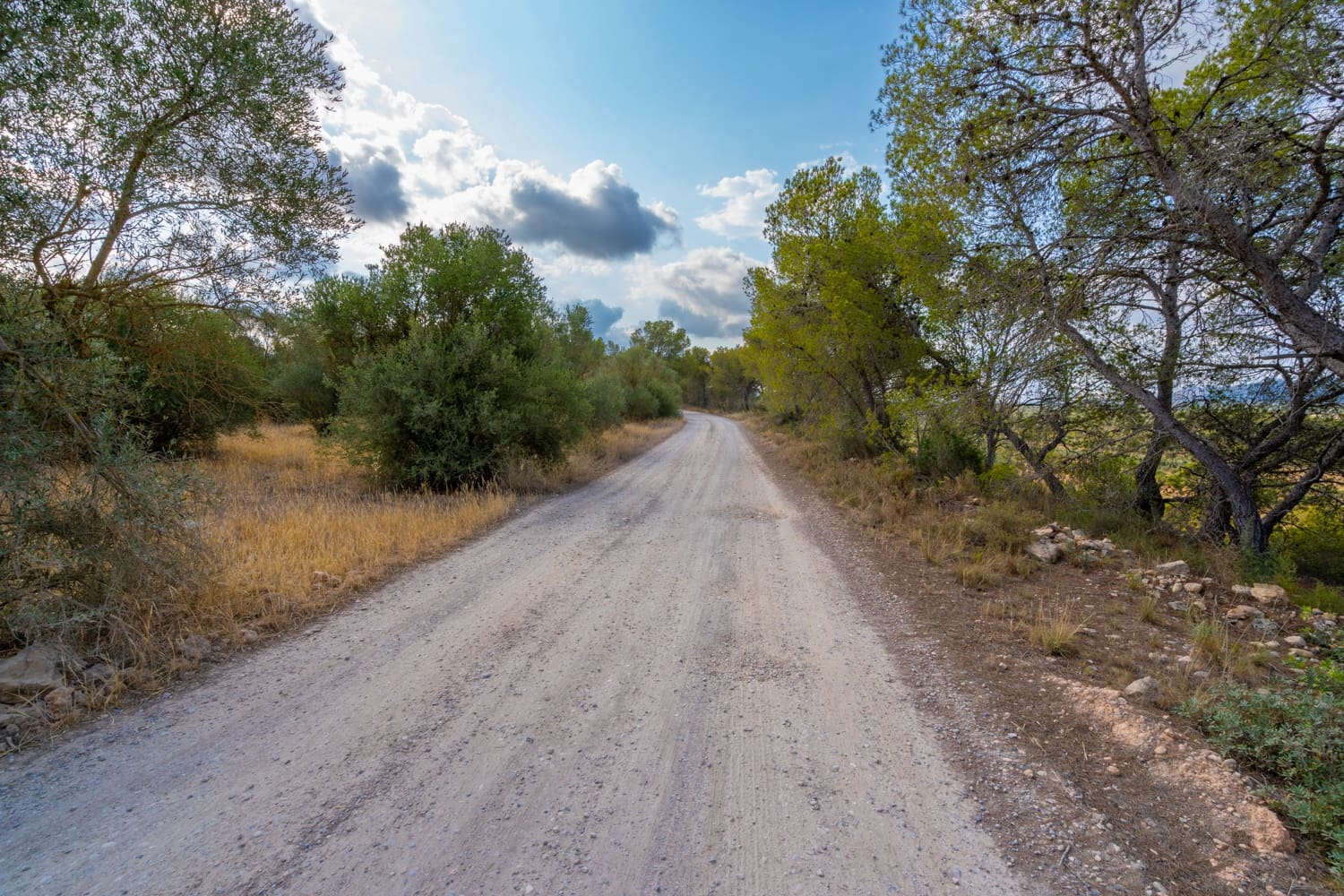 Quinta/Casa Rural para venda em Ginestar - 35 000 € (Ref: 8471423)