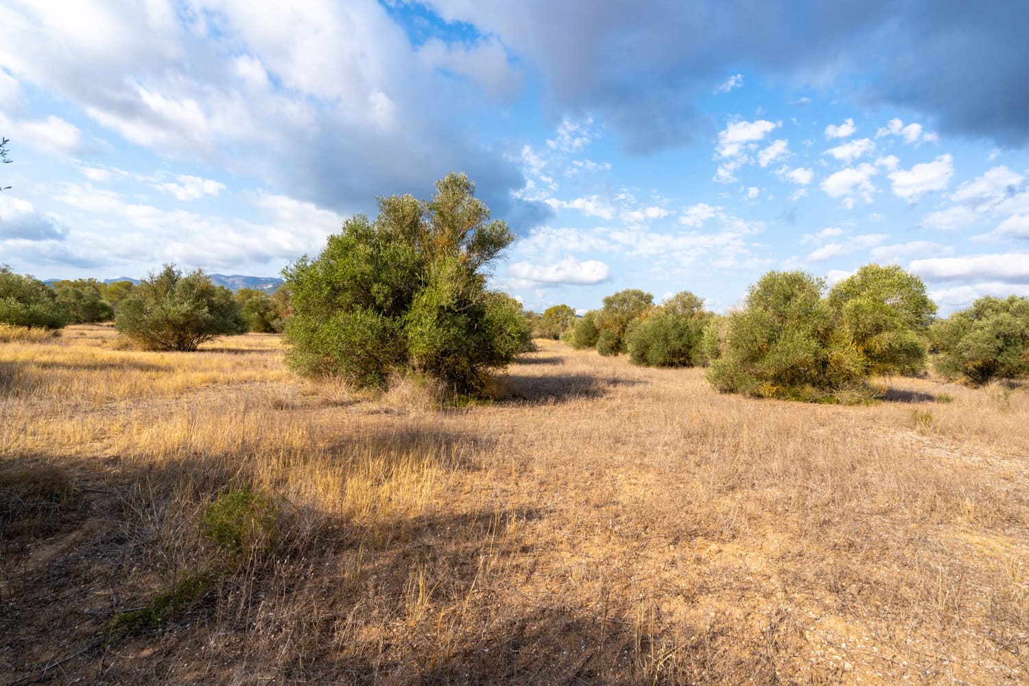 Finca/Herregård til salgs i Ginestar - € 35 000 (Ref: 8471423)