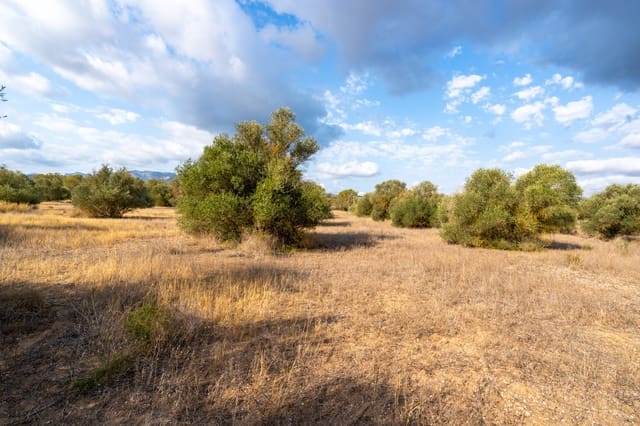 Quinta/Casa Rural para venda em Ginestar - 35 000 € (Ref: 8471423)