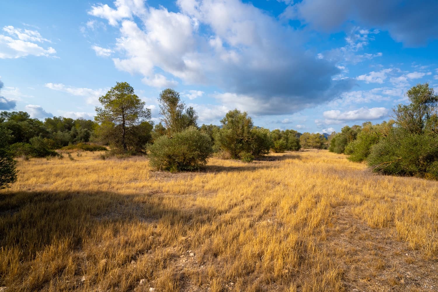 Finca/Herregård til salgs i Ginestar - € 35 000 (Ref: 8471423)