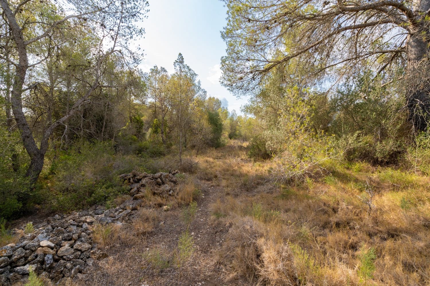 Finca/Herregård til salgs i Ginestar - € 35 000 (Ref: 8471423)