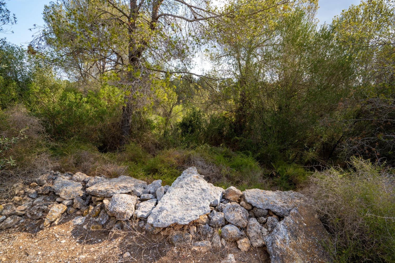 Finca/Herregård til salgs i Ginestar - € 35 000 (Ref: 8471423)