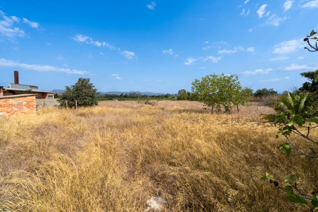 Finca/Landehus til salg i Ginestar - € 55.000 (Ref: 8471799)