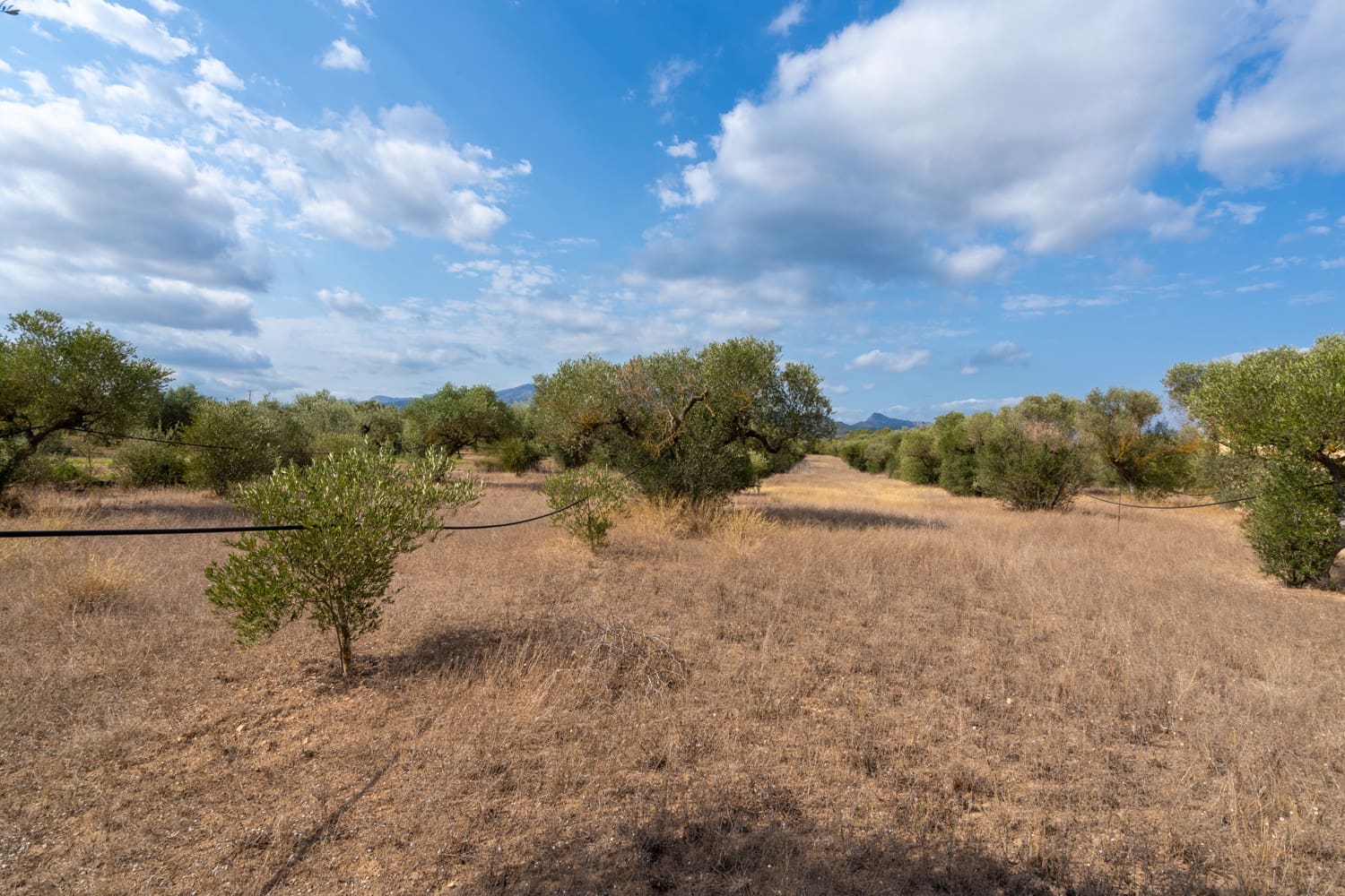 Finca/Landehus til salg i Ginestar - € 13.000 (Ref: 8471800)