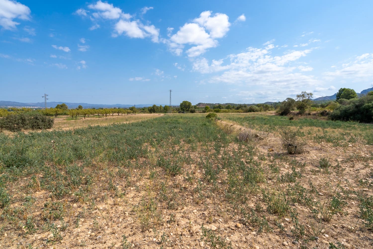 Finca/Landehus til salg i Ginestar - € 31.000 (Ref: 8471801)