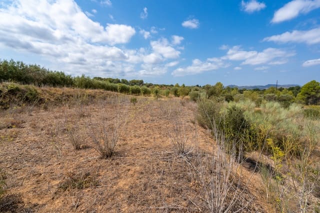 Finca/Landehus til salg i Ginestar - € 31.000 (Ref: 8471801)