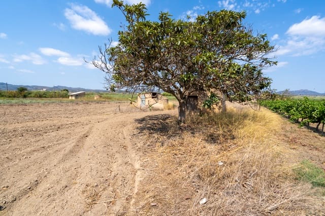 Finca/Landehus til salg i Ginestar - € 23.000 (Ref: 8471802)