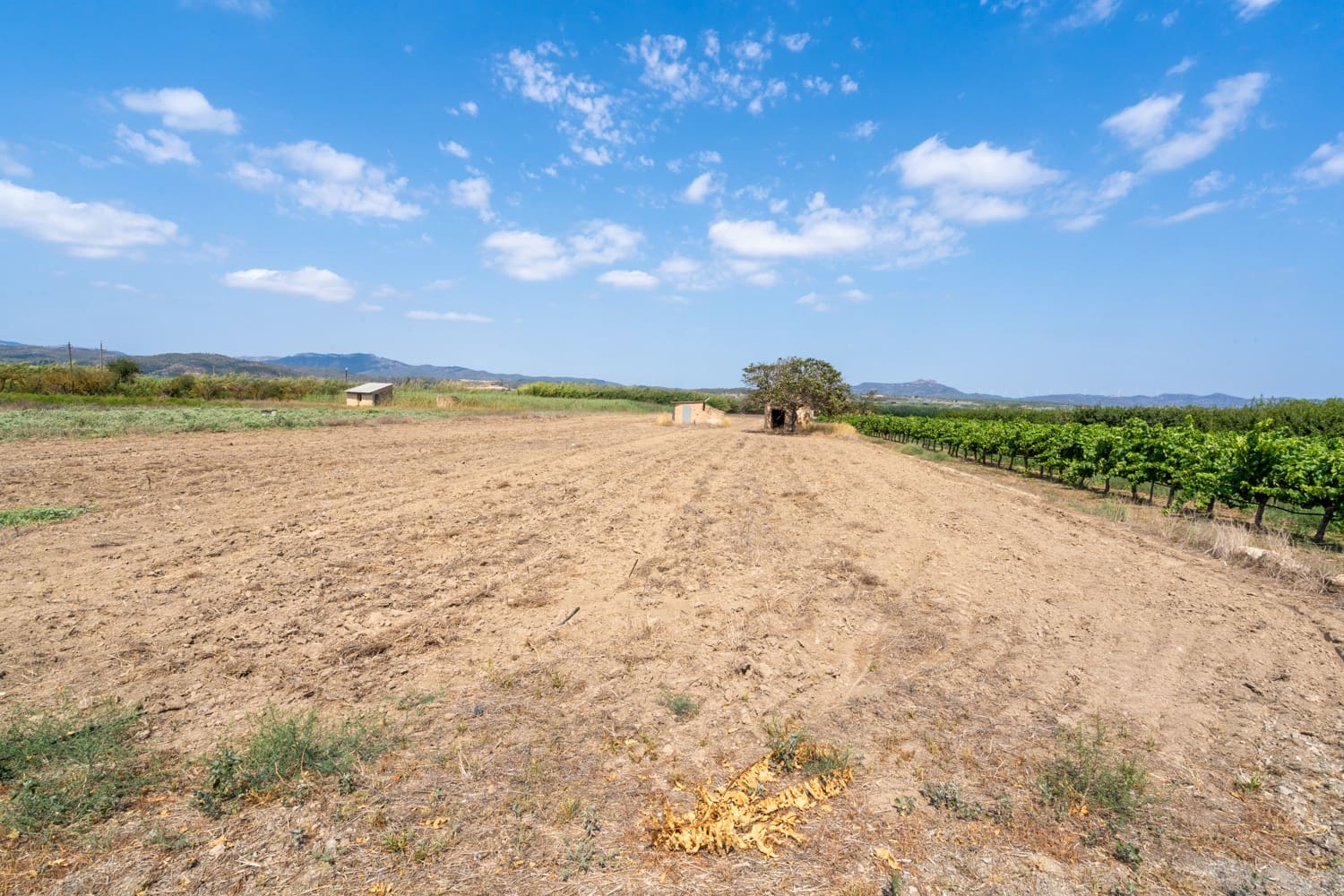 Finca/Landehus til salg i Ginestar - € 23.000 (Ref: 8471802)