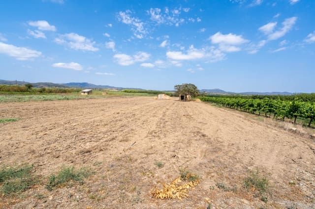 Finca/Country House for sale in Ginestar - € 23,000 (Ref: 8471802)