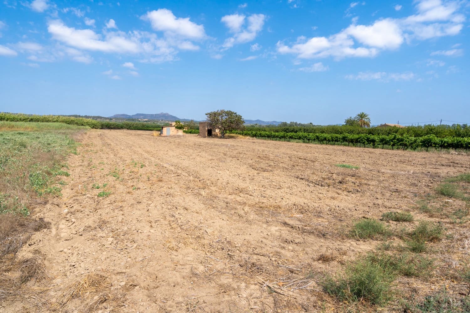 Finca/Landhuis te koop in Ginestar - € 23.000 (Ref: 8471802)