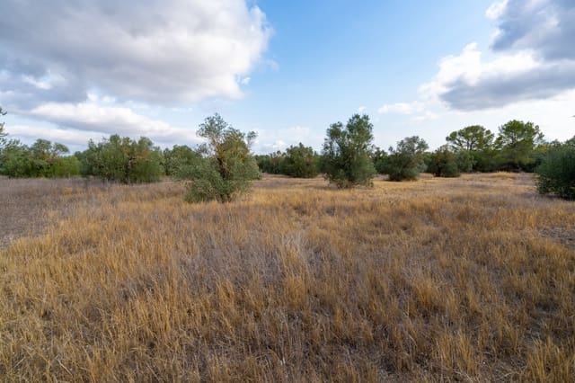 Finca/Landehus til salg i Ginestar - € 18.000 (Ref: 8471803)