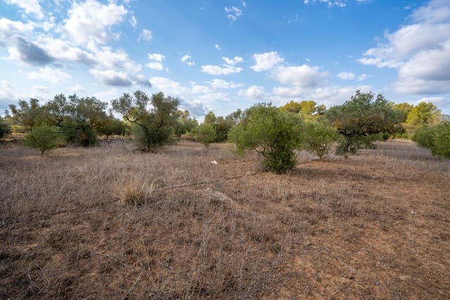 Finca/Landehus til salg i Ginestar - € 18.000 (Ref: 8471803)