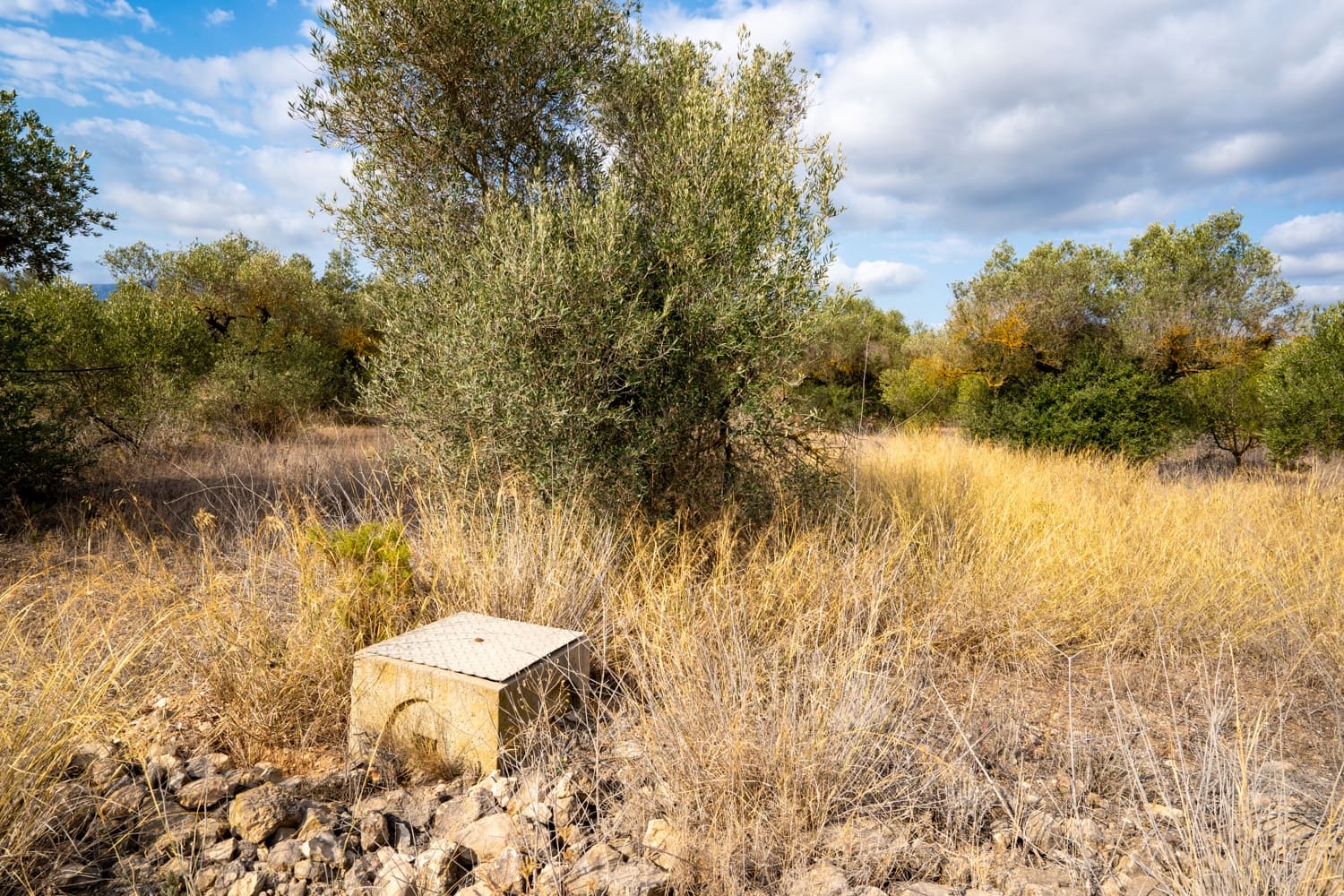 Finca/Landehus til salg i Ginestar - € 18.000 (Ref: 8471803)