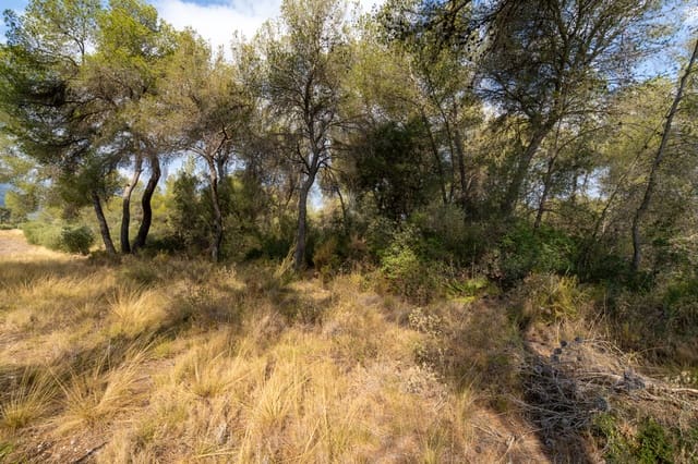 Finca/Landehus til salg i Ginestar - € 18.000 (Ref: 8471803)