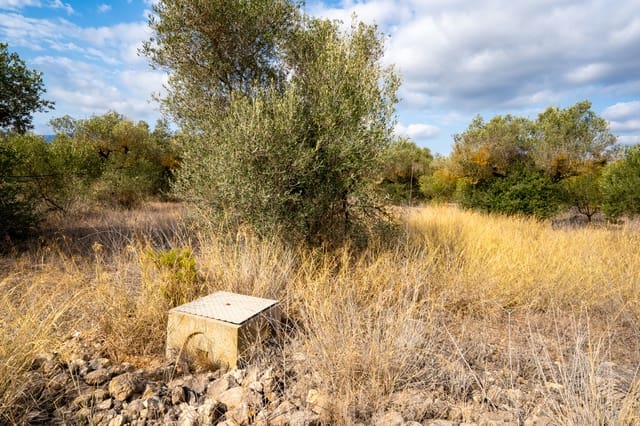 Finca/Landehus til salg i Ginestar - € 18.000 (Ref: 8471803)