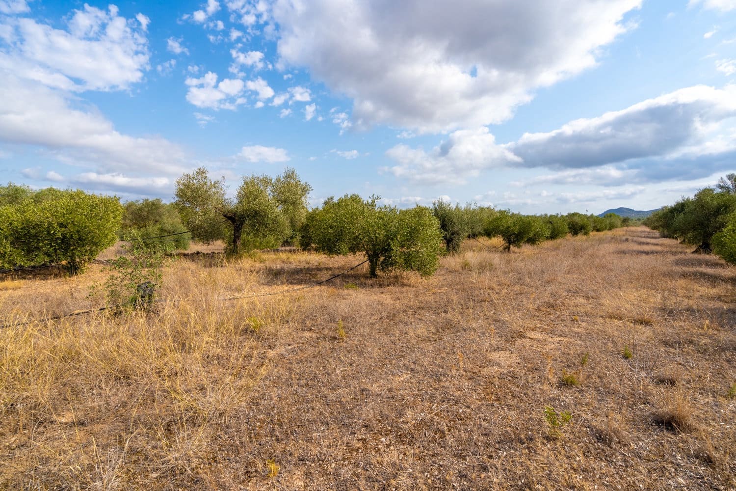 Finca/Hus på landet till salu i Ginestar - 18 000 € (Ref: 8471803)