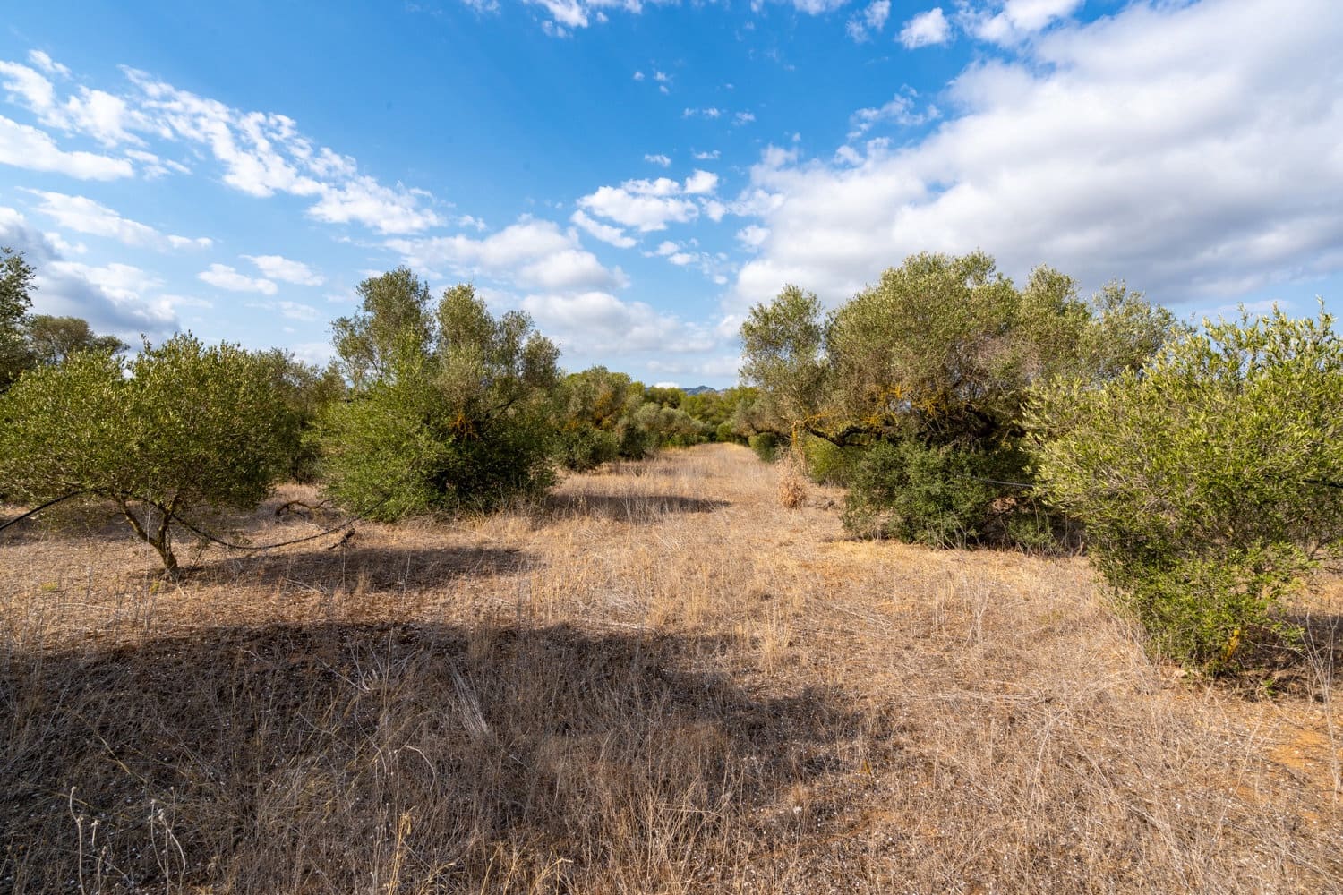 Finca/Hus på landet till salu i Ginestar - 18 000 € (Ref: 8471803)