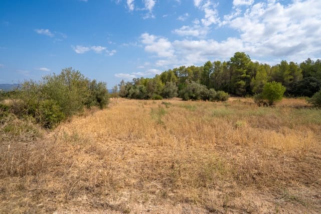 Finca/Landehus til salg i Ginestar - € 41.000 (Ref: 8471804)