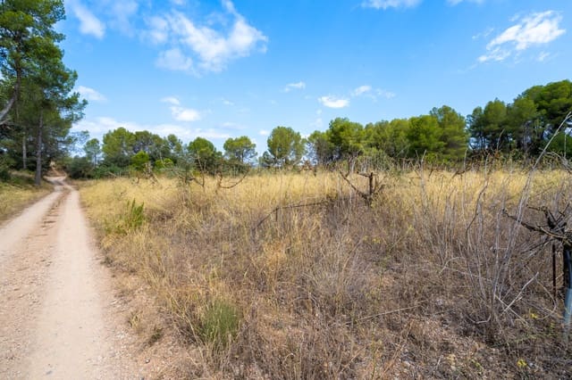 Finca/Landehus til salg i Ginestar - € 41.000 (Ref: 8471804)